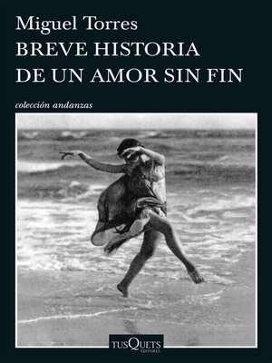 cover image of Breve historia de un amor sin fin